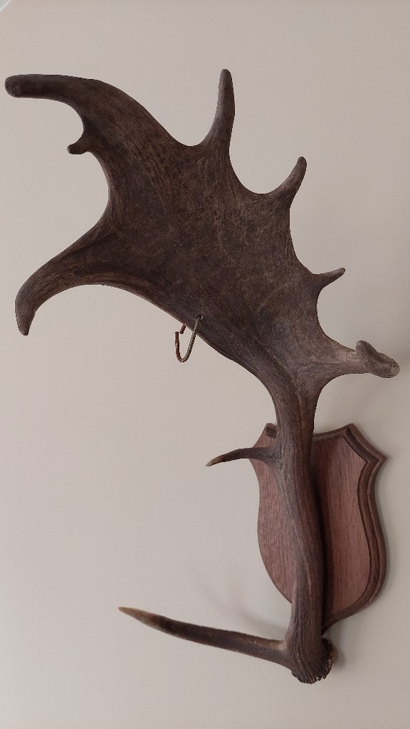 Hertengewei wandlamp..., Ophalen