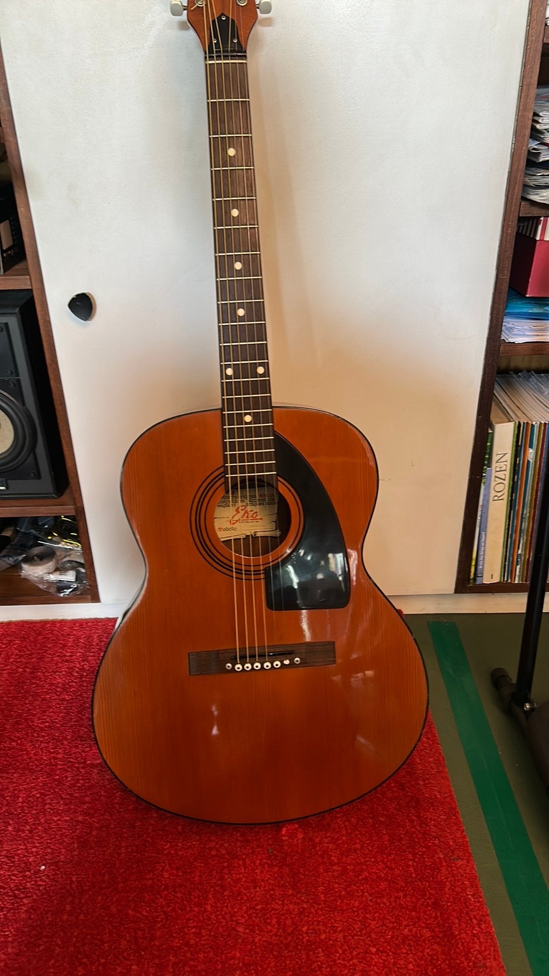 Gitaar eko navajo 6, Muziek en Instrumenten, Snaarinstrumenten | Gitaren | Akoestisch, Ophalen, Gebruikt, Western- of Steelstringgitaar