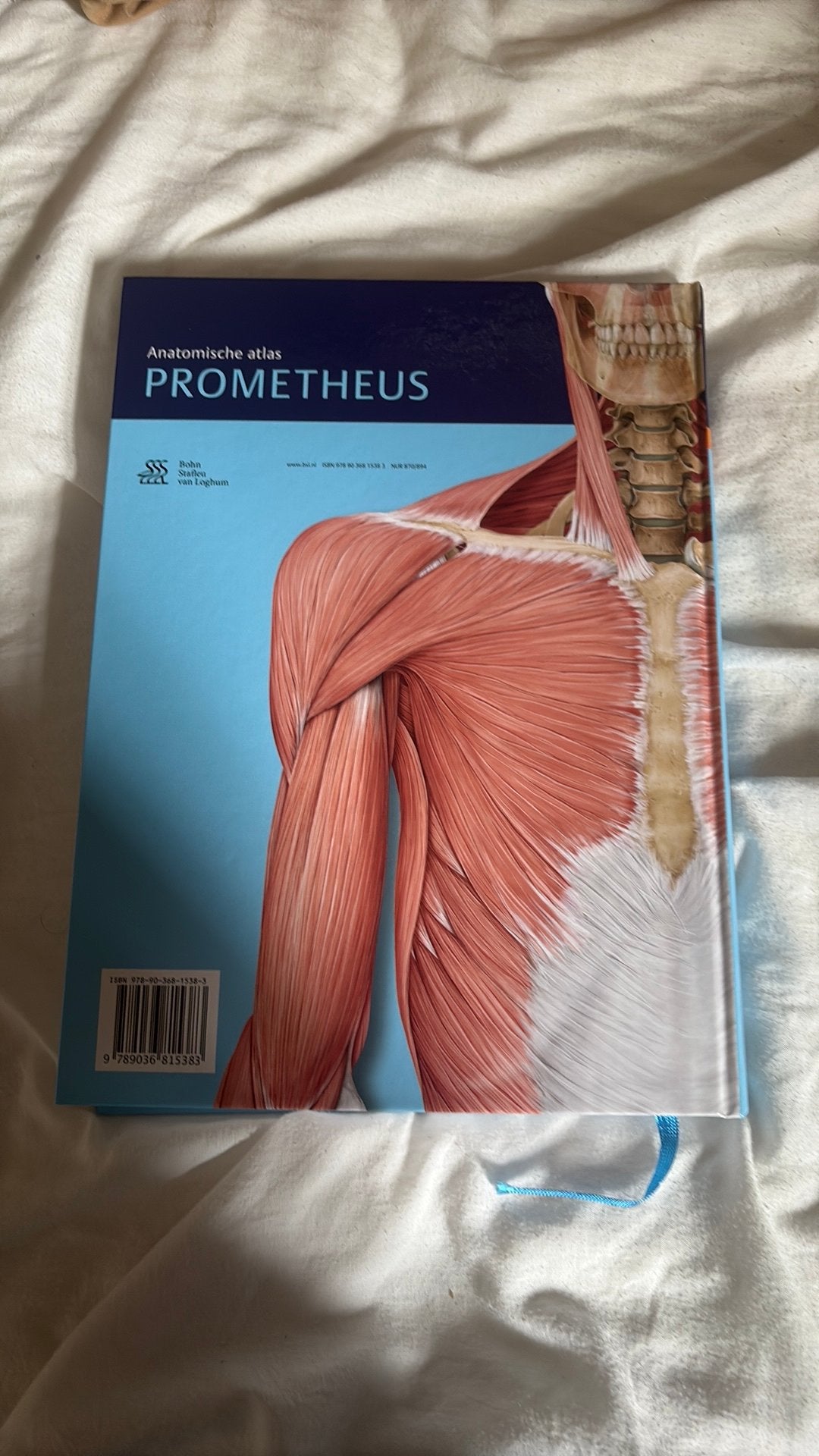 Erik Schulte - Algemene anatomie en bewegingsapparaat, Boeken, Wetenschap, Ophalen of Verzenden, Nieuw, Erik Schulte; Udo Schumacher; Michael Schünke