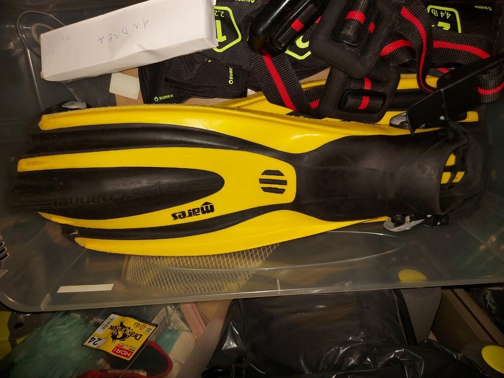 Palmen, Watersport en Boten, Duiken, Ophalen