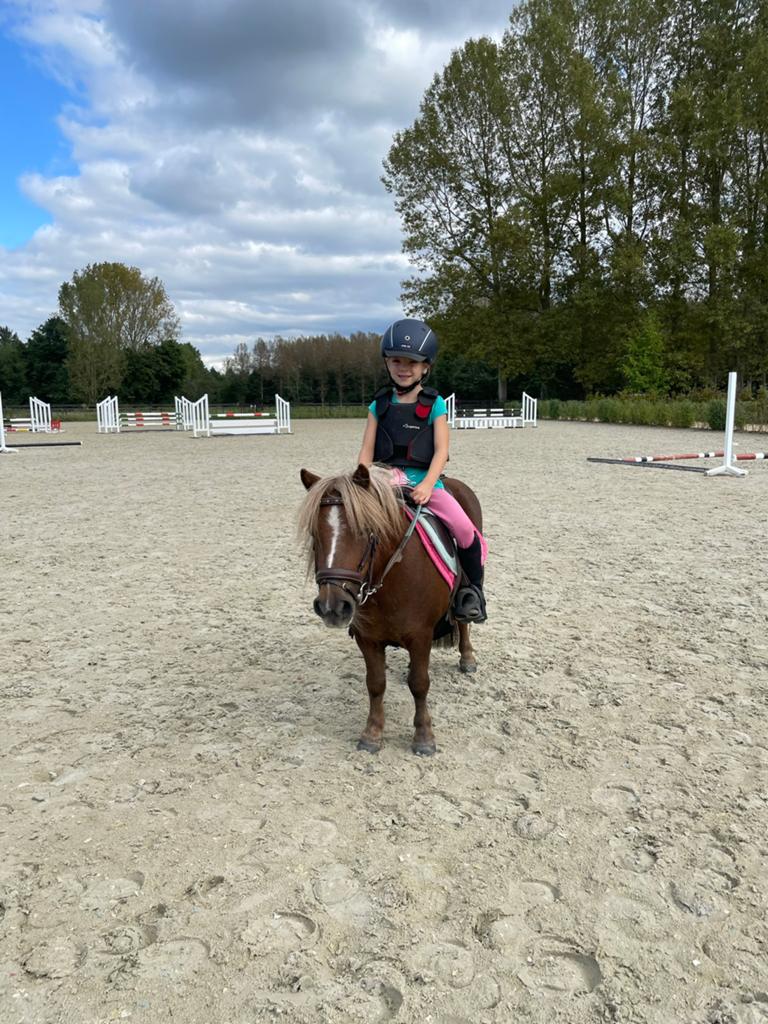 Allerliefste shetlandpony, Dieren en Toebehoren, Merrie, B, A pony (tot 1.17m), Gechipt