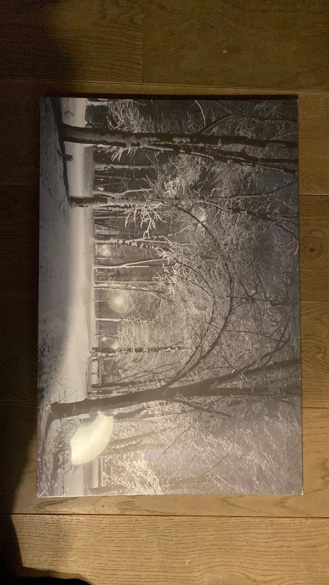 Canvas met licht, Ophalen, Oorspronkelijke maker, Nieuw, Print