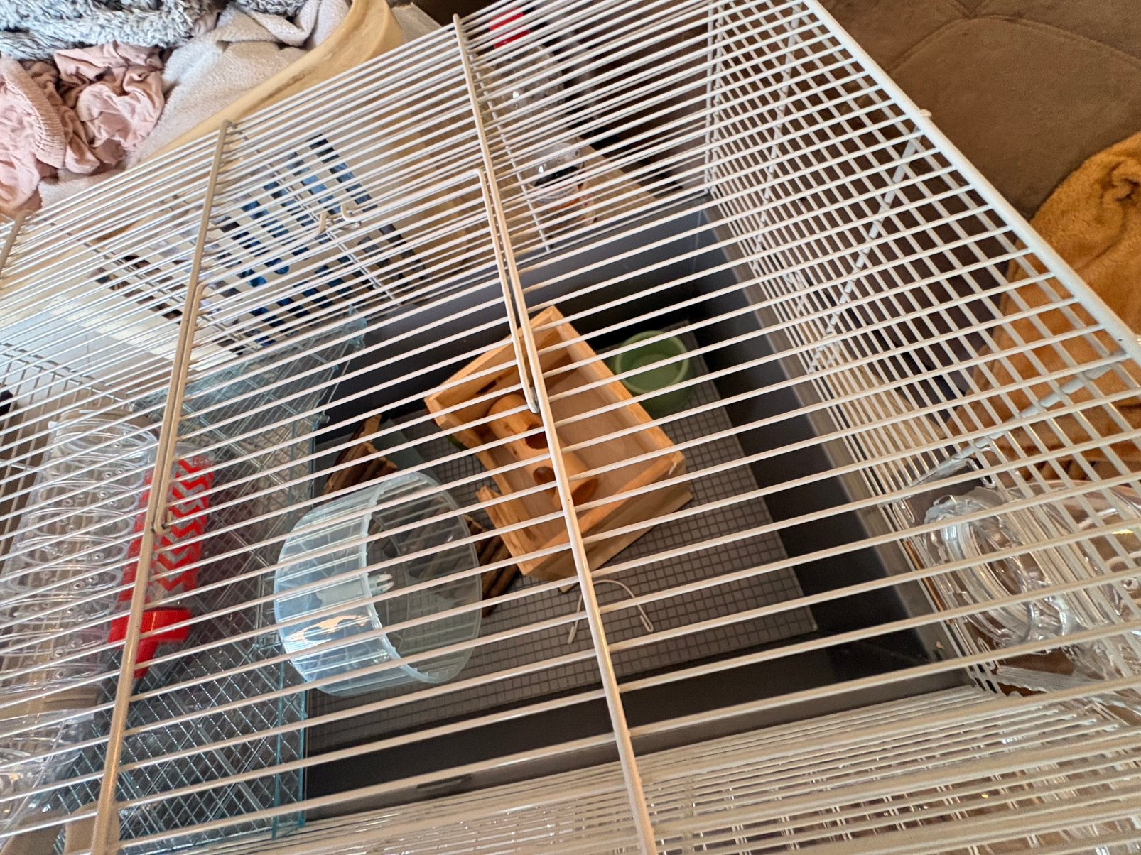 Hamsterkooi, Dieren en Toebehoren, Ophalen