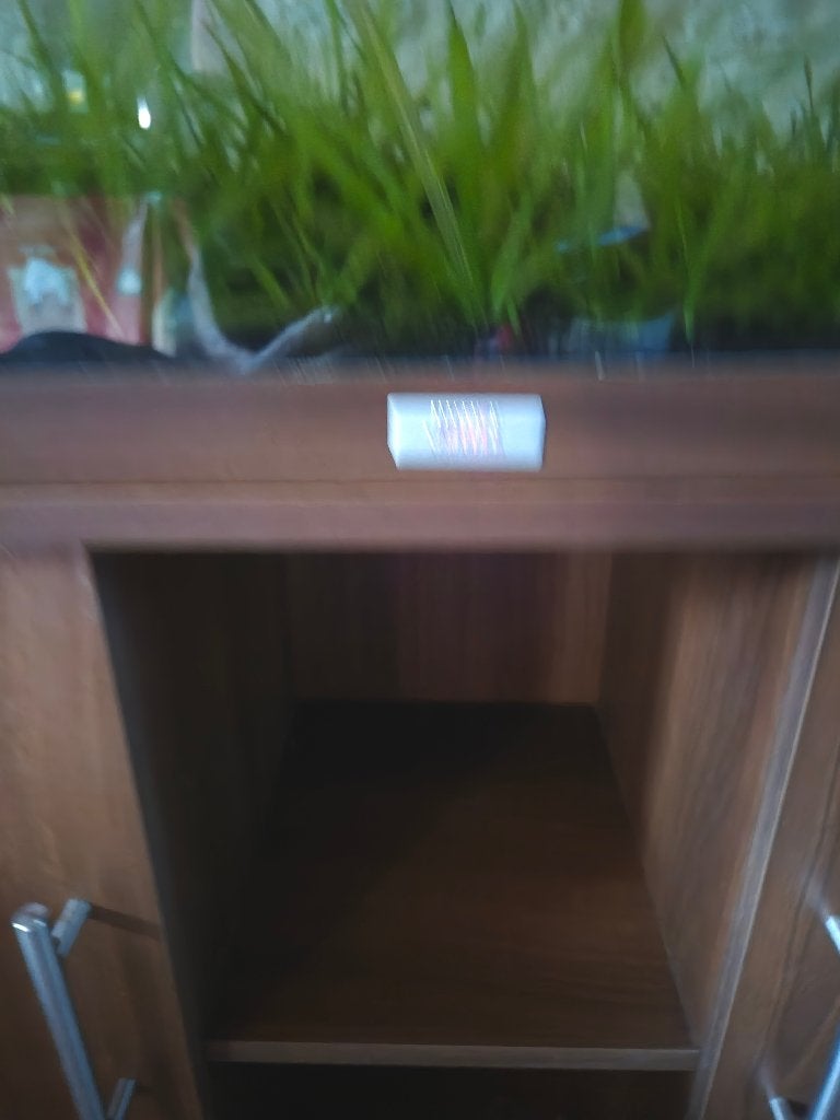 Aquarium, Animaux & Accessoires, Poissons | Aquariums & Accessoires, Aquarium d'eau douce rempli, Enlèvement, Utilisé, Poissons inclus