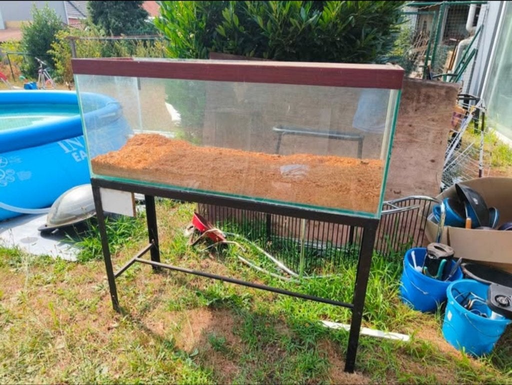 Aquarium/terrarium, Ophalen, Gebruikt, Terrarium of Paludarium
