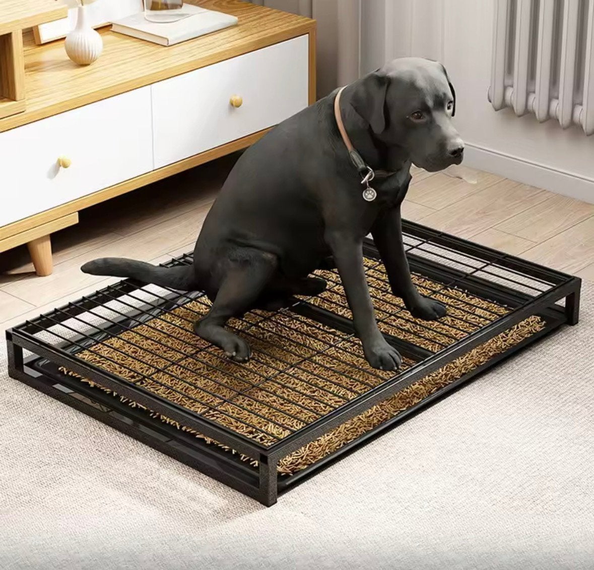 Honden toilet! Nooit gebruikt!, Ophalen, Zo goed als nieuw