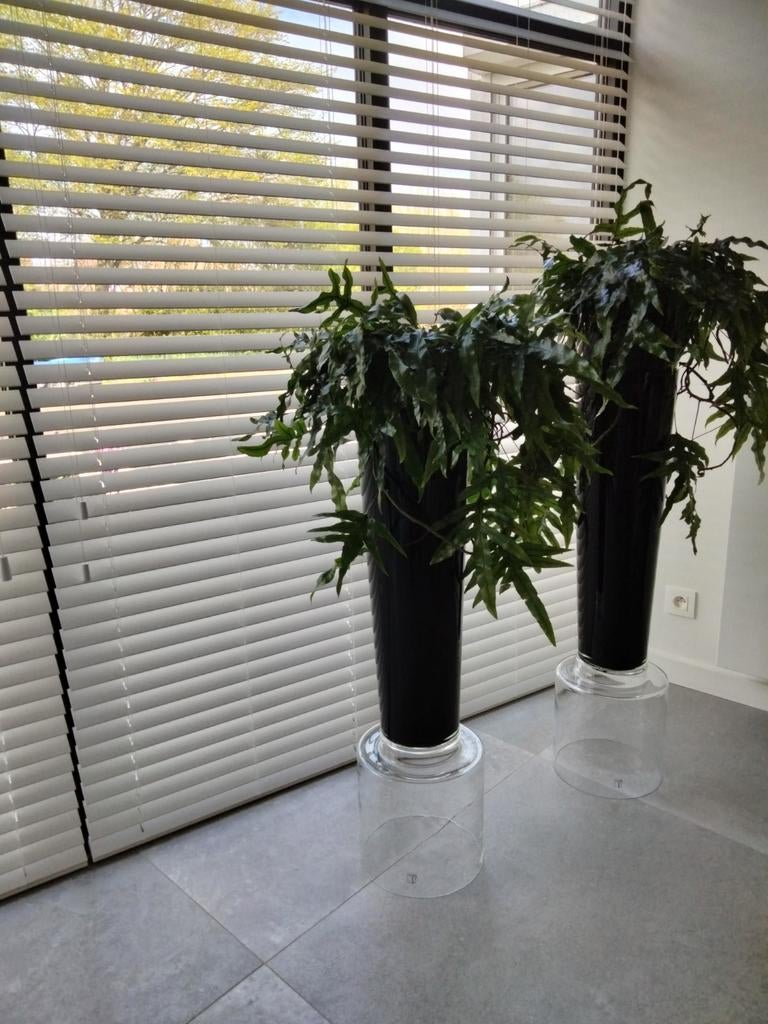 2 glazen potten hoogte 1 meter merk J Line, Tuin en Terras, Bloembakken en Plantenbakken, Ophalen