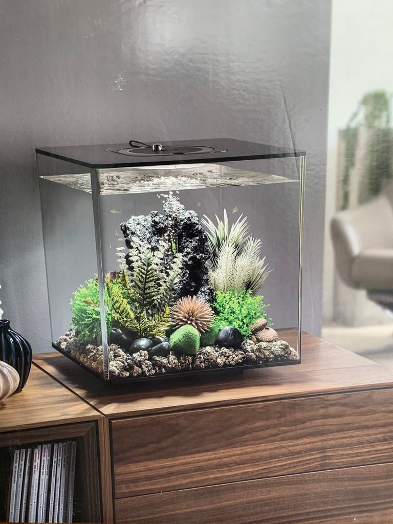 Aquarium Biorb Cube 30, Aquarium vide, Comme neuf, Enlèvement, Accessoires inclus