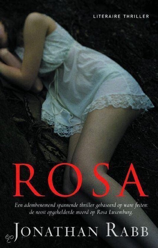Te Koop Boek ROSA Jonathan Rabb, Boeken, Thrillers, Gelezen, Jonathan Rabb, Ophalen of Verzenden, Amerika