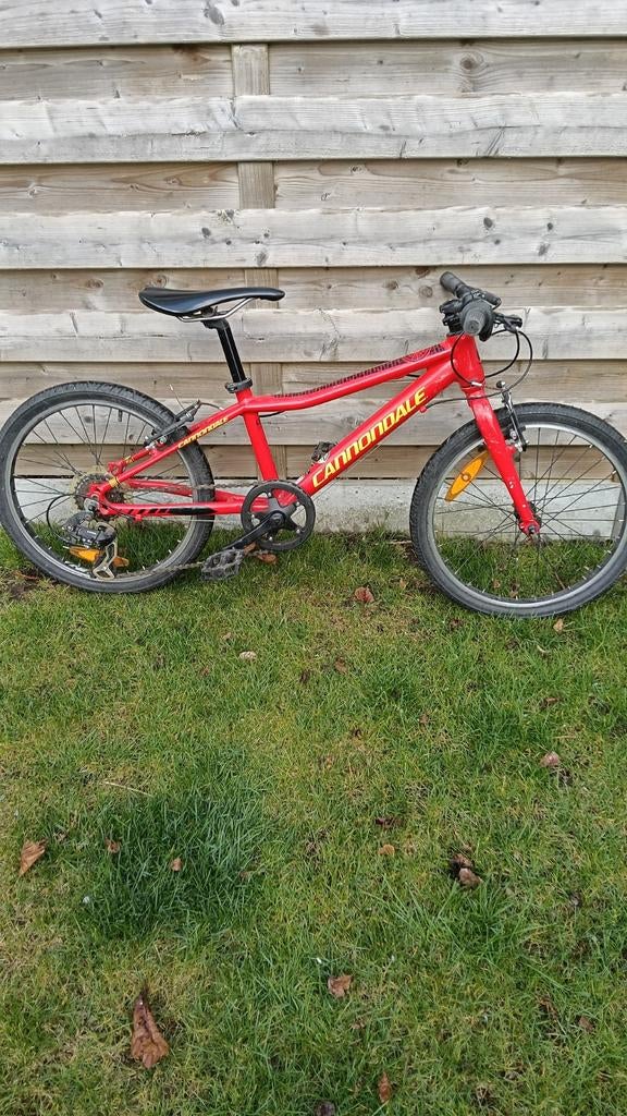 Cannondale kinderfiets 20inch, Ophalen