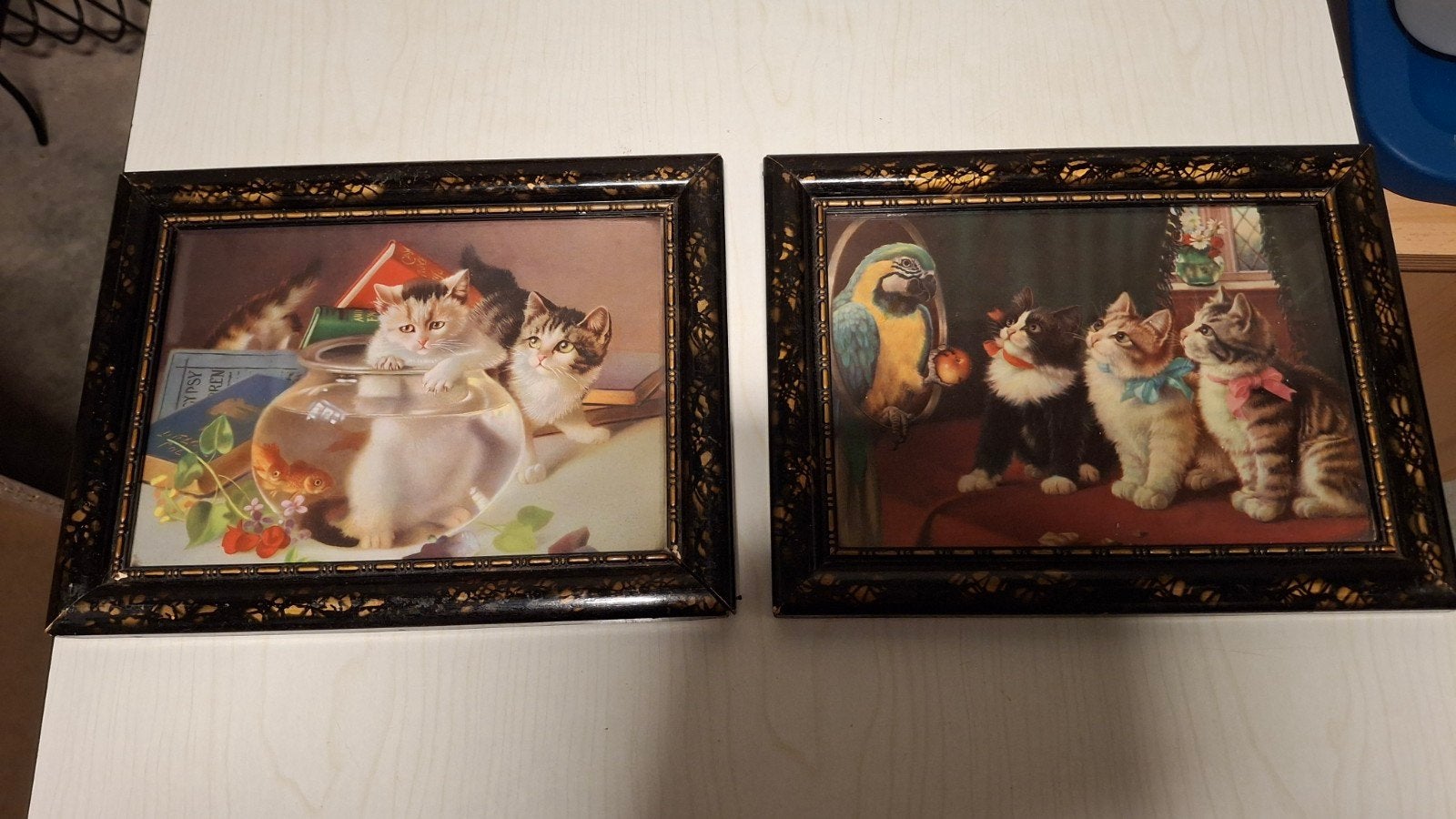 2 mooie poezenkadertjes,, Ophalen