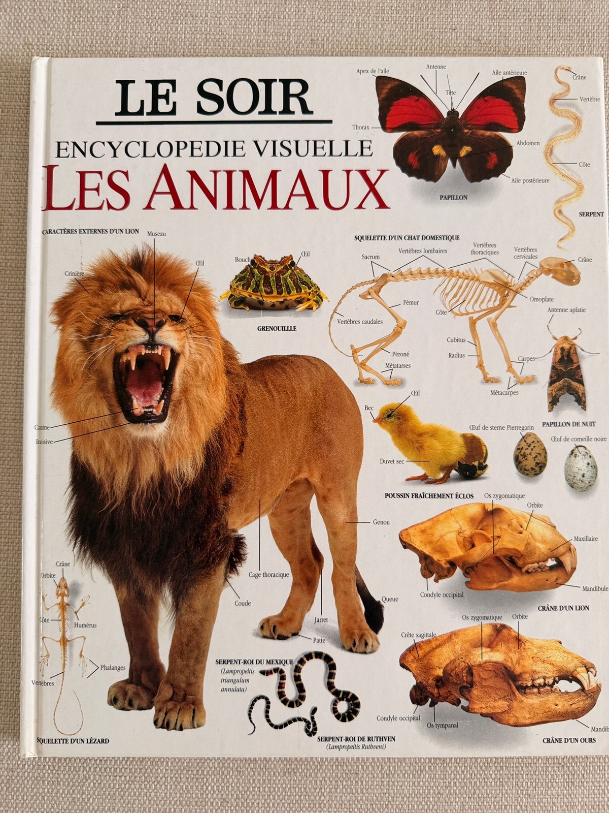 Encyclopedie visuelle Les Animaux, Enlèvement ou Envoi, Comme neuf
