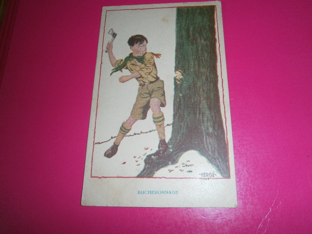 TINTIN, Collections, Envoi, Tintin