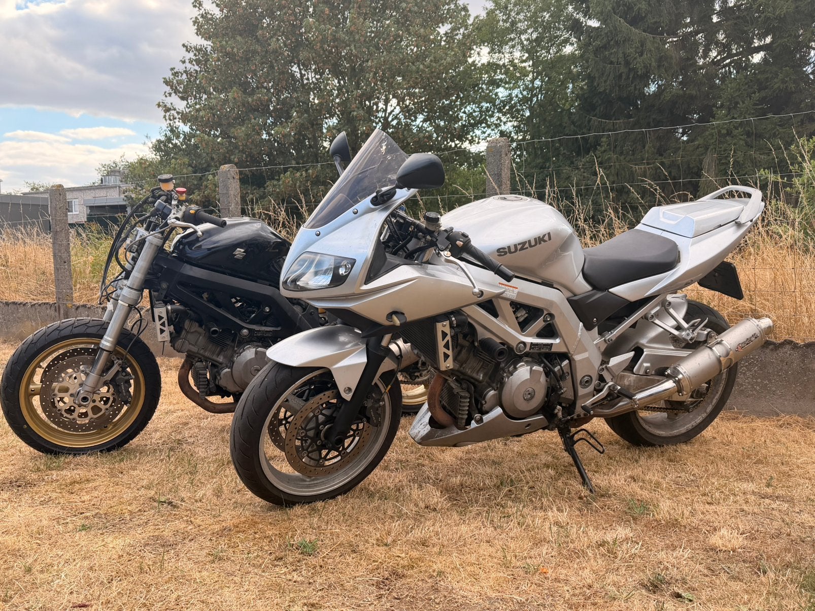 Suzuki Sv1000