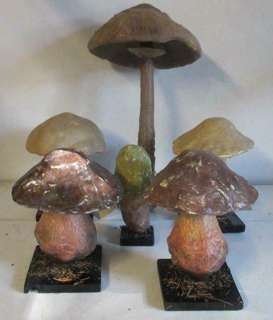 antieke collectie botanische modellen paddestoelen 37, Ophalen, Gebruikt