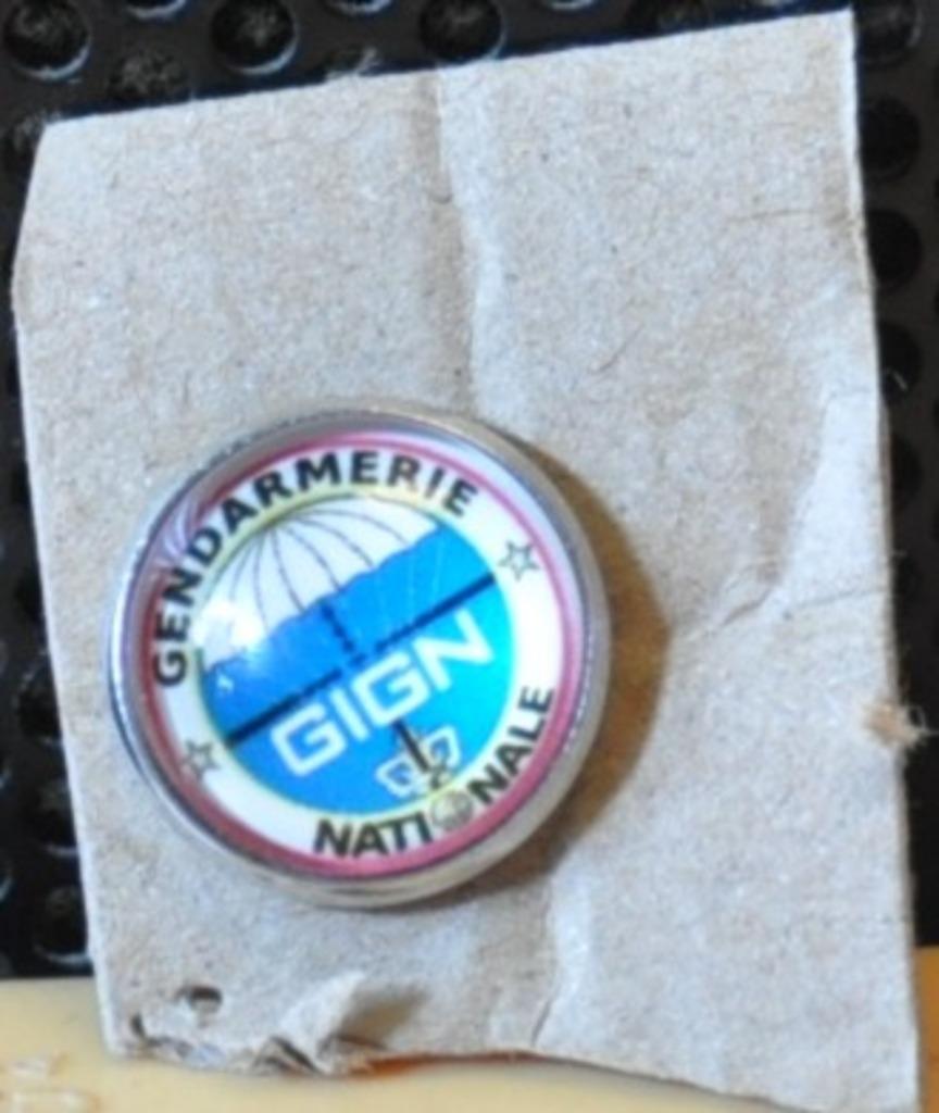pin's gign gendarmerie nationale (x2044), Ophalen of Verzenden, Zo goed als nieuw, Overige onderwerpen, Speldje of Pin