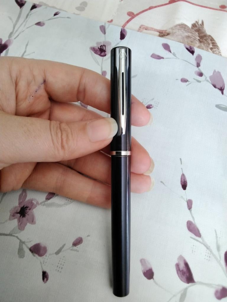 stylo Waterman, Collections, Enlèvement ou Envoi, Utilisé, Stylo, Waterman