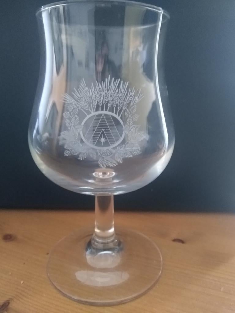 Tulpglas Artois, Verzamelen, Ophalen, Zo goed als nieuw, Bierglas