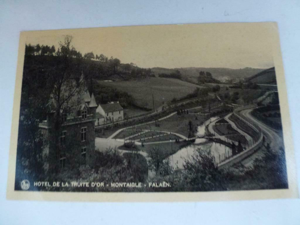 Hotel de la Truite d'Or Montaigle - Falaën, Envoi, Affranchie, Namur