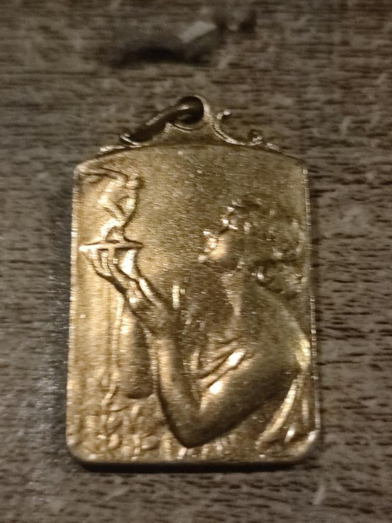 Médaille dorée Le Soir. 1950. XXV e cross junior, Enlèvement ou Envoi