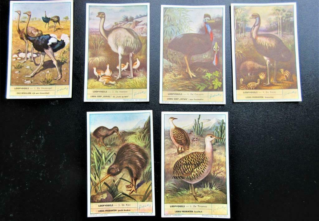Liebig prentjes "Loopvogels", Verzamelen, Ophalen of Verzenden, Zo goed als nieuw, 1940 tot 1960, Dier