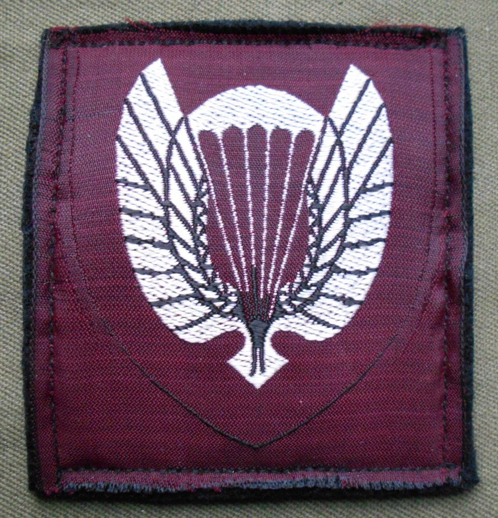 NORVEGE / ECUSSON PARA., Envoi, Armée de terre, Emblème ou Badge