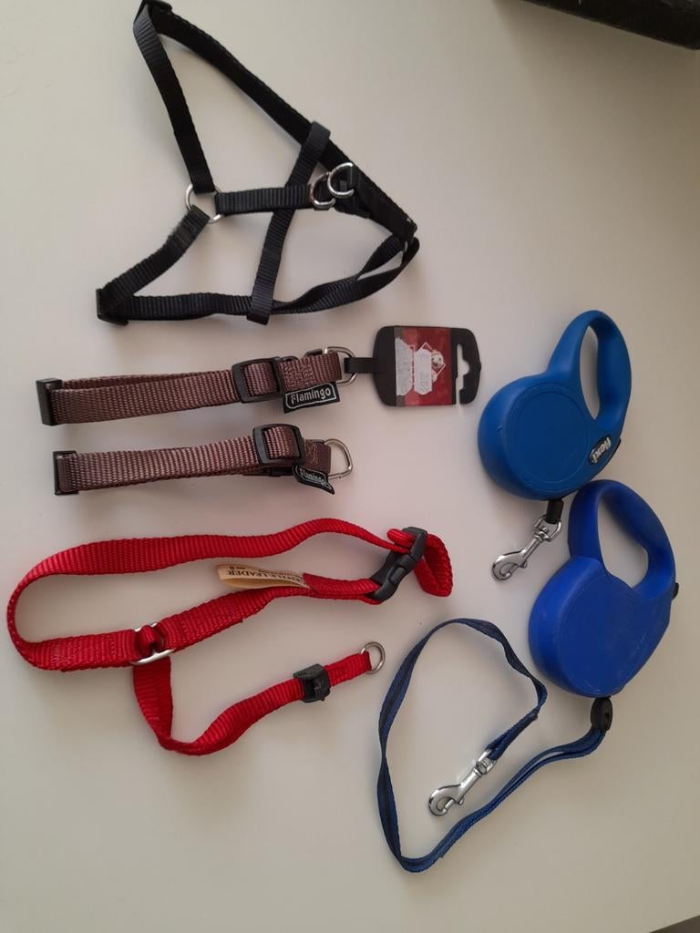 Laisses pour chiens, Enlèvement ou Envoi, Comme neuf