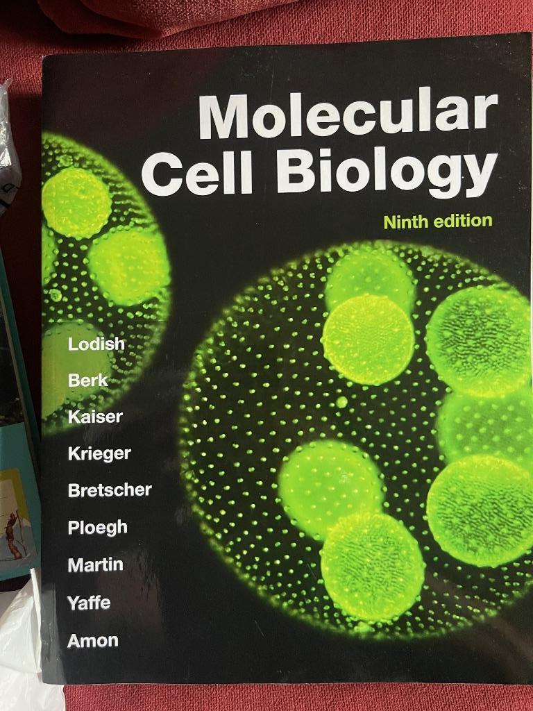 Molecular Cell Biology, Boeken, Ophalen of Verzenden, Nieuw, Hoger Onderwijs, Arnold Berk