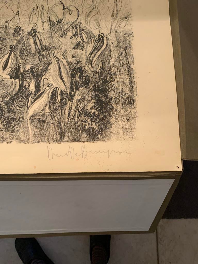 Litho ets dees de bruine, Ophalen
