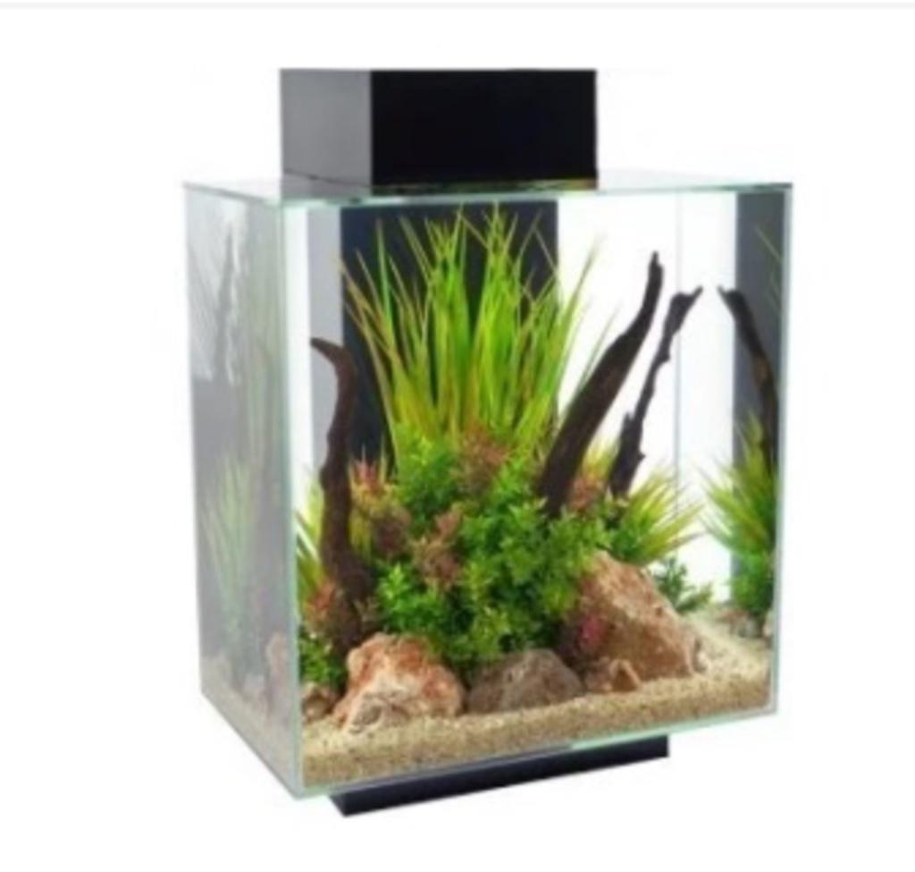 aquarium, Dieren en Toebehoren, Ophalen, Gebruikt, Leeg aquarium