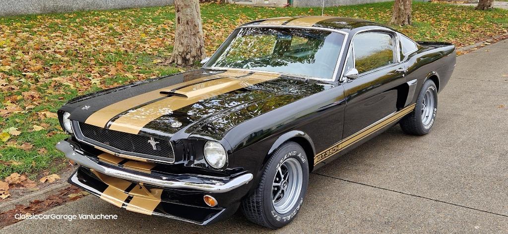 Mustang Shelby GT350H tribute, 4 zetels, Achterwielaandrijving, Zwart, Bedrijf
