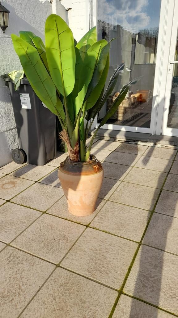 Terakottapot met sierplant, Enlèvement