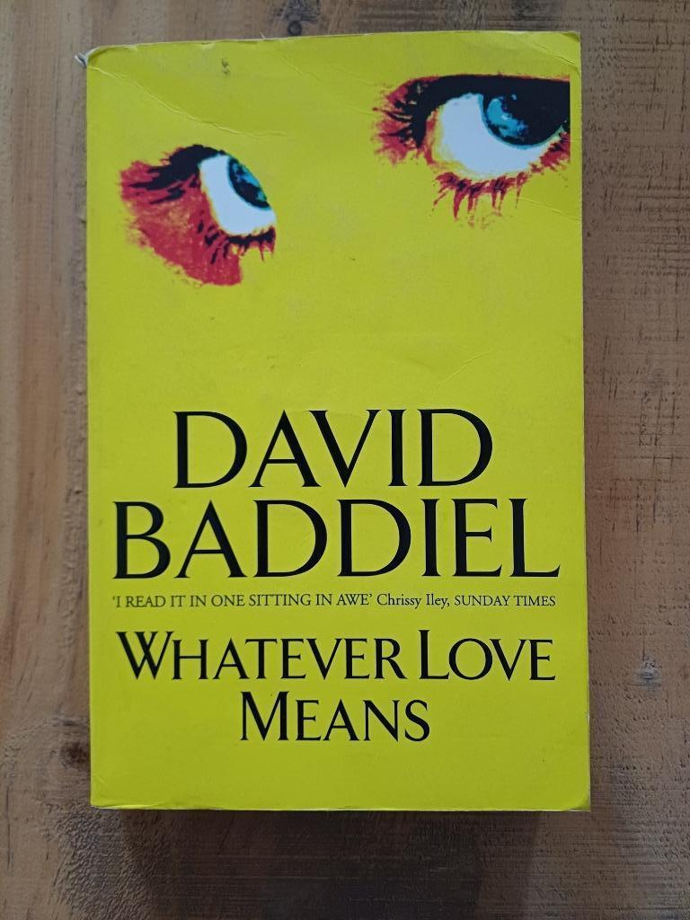 David Baddiel: Whatever love means, Gelezen, Europa overig, David Baddiel, Ophalen of Verzenden