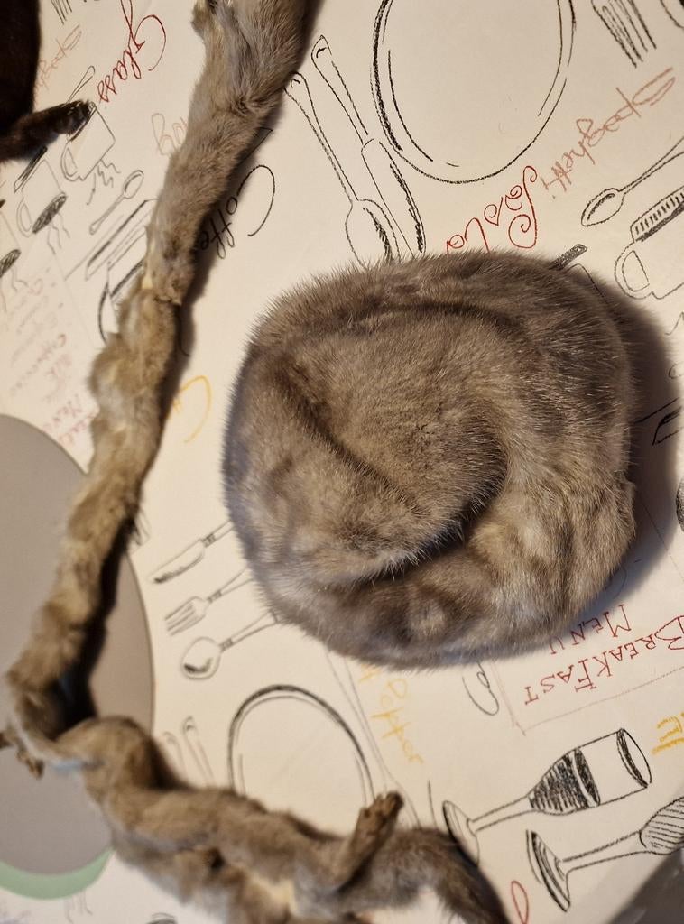 Bonnet et écharpe en vison, Enlèvement ou Envoi, Porté
