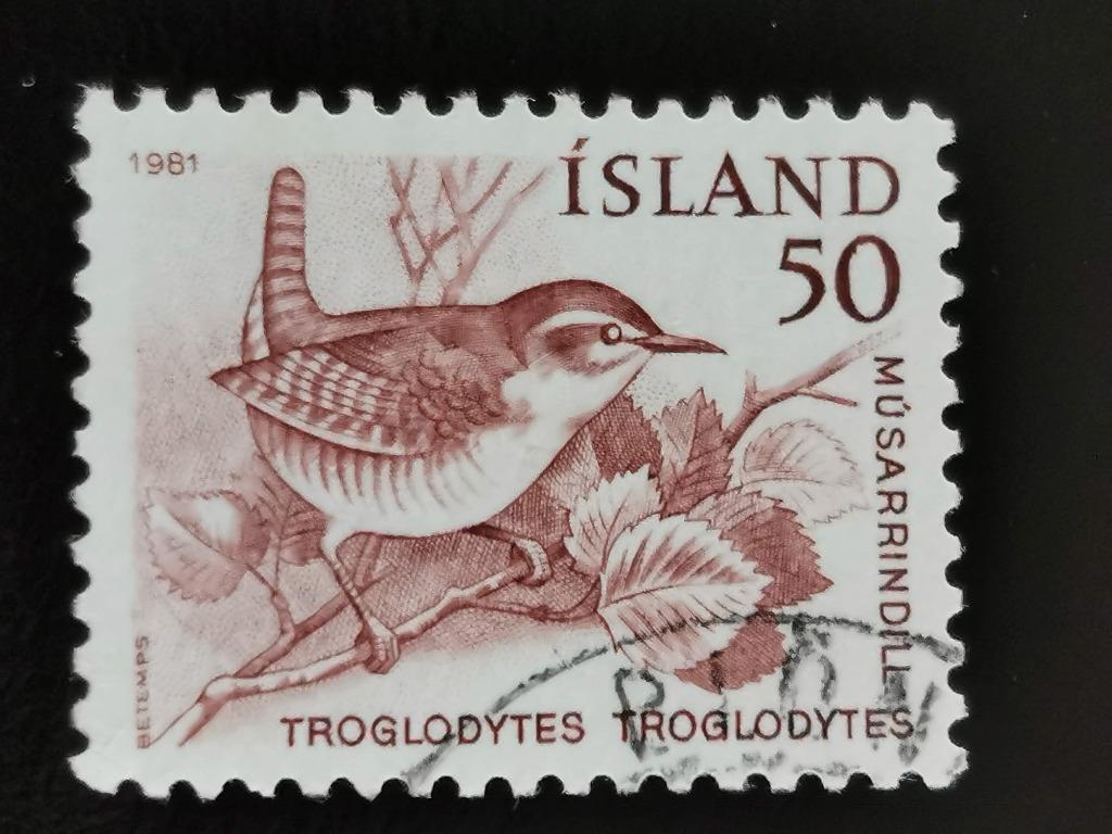 Ijsland 1981 - vogels - Winterkoning, Postzegels en Munten, Postzegels | Europa | Scandinavië, Ophalen of Verzenden, IJsland, Gestempeld