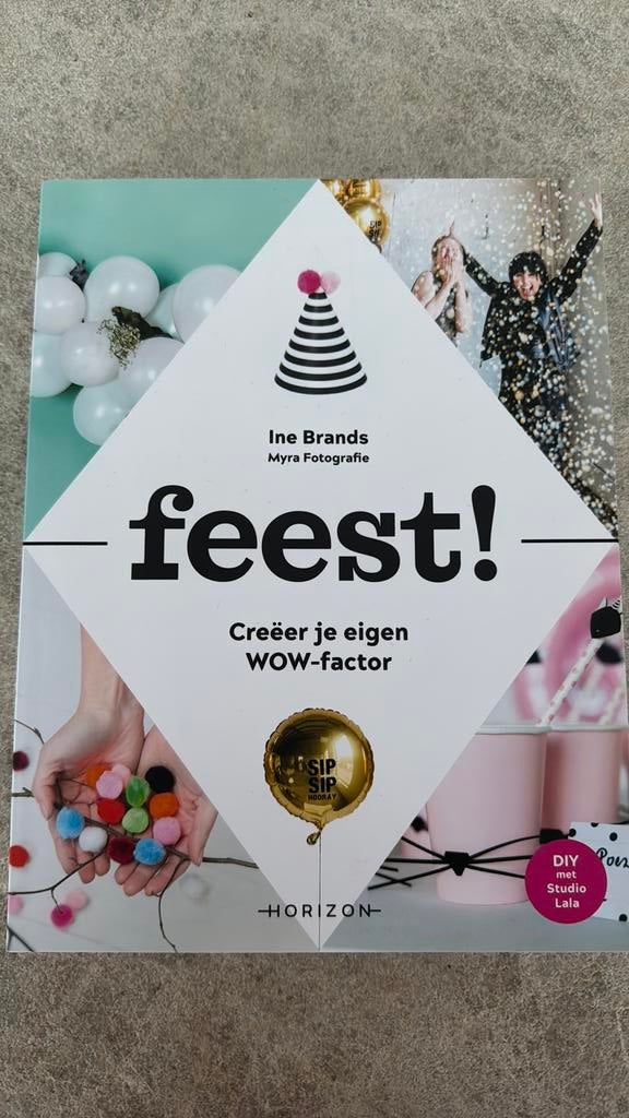 Ine Brands - Feest! - Volledig nieuw, Enlèvement ou Envoi, Ine Brands
