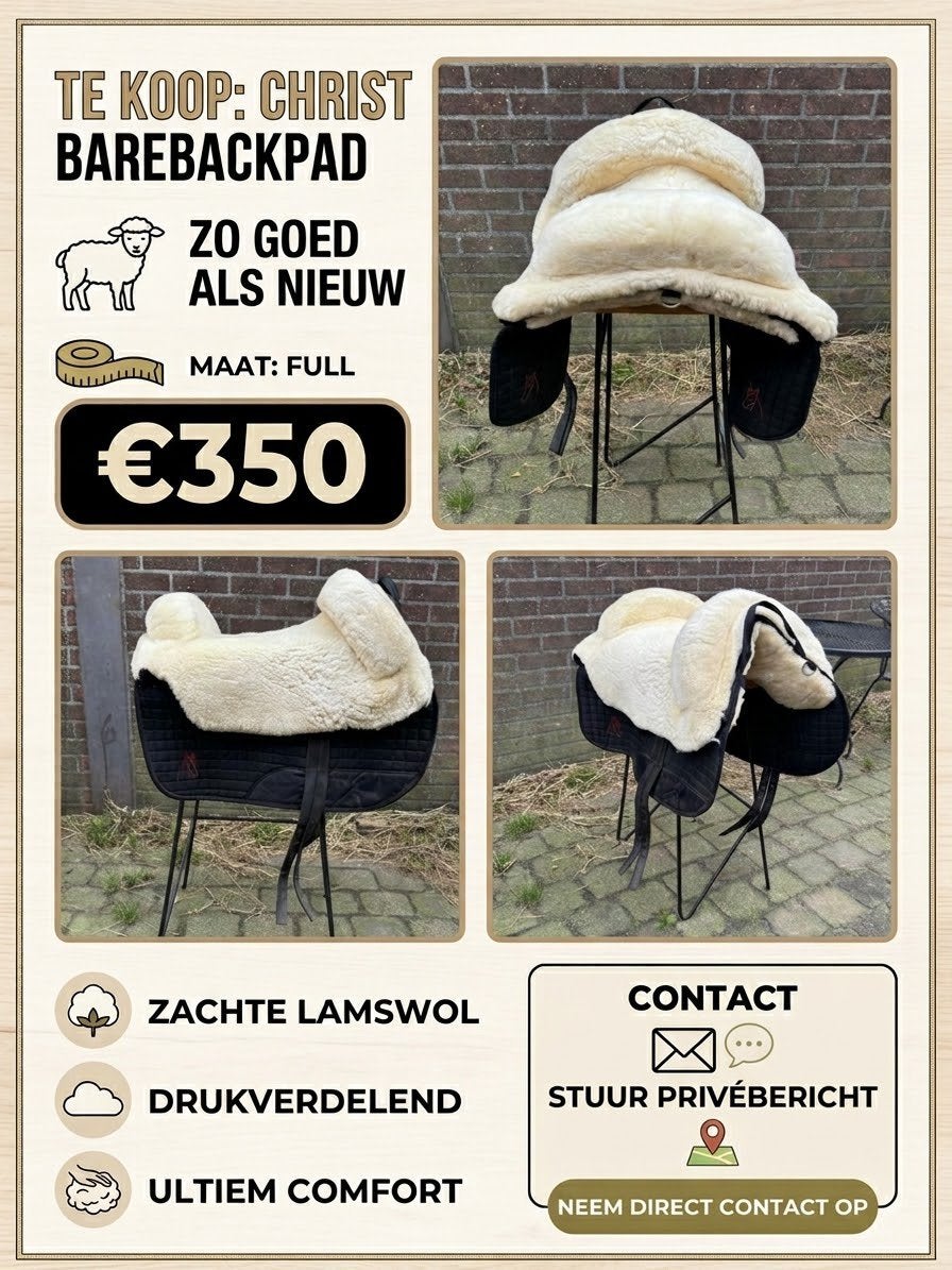 Barebackpad Christ, Enlèvement ou Envoi, Récréation, Assise souple, L (17.5 pouces)