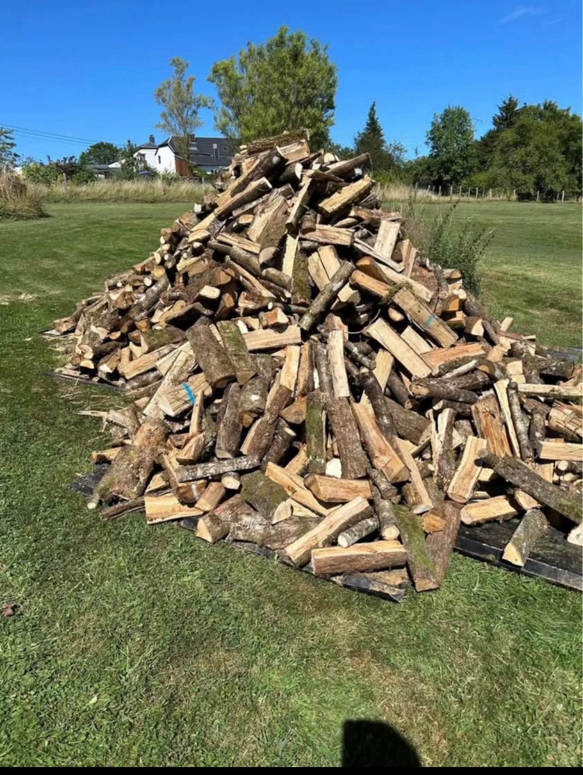 Bois de chauffage, Enlèvement, Bouleau