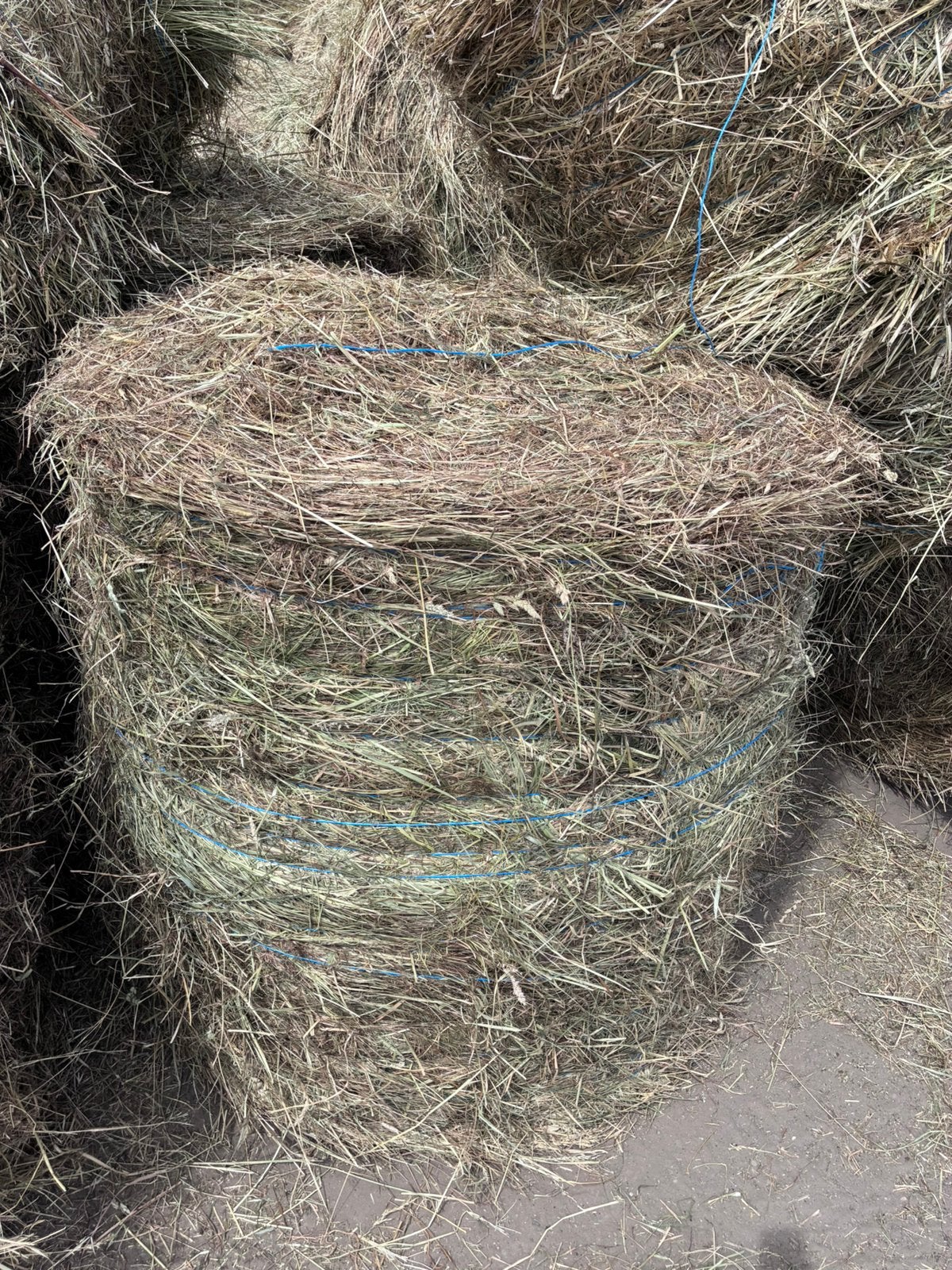 Grote balen hooi te koop, Ophalen, Vee