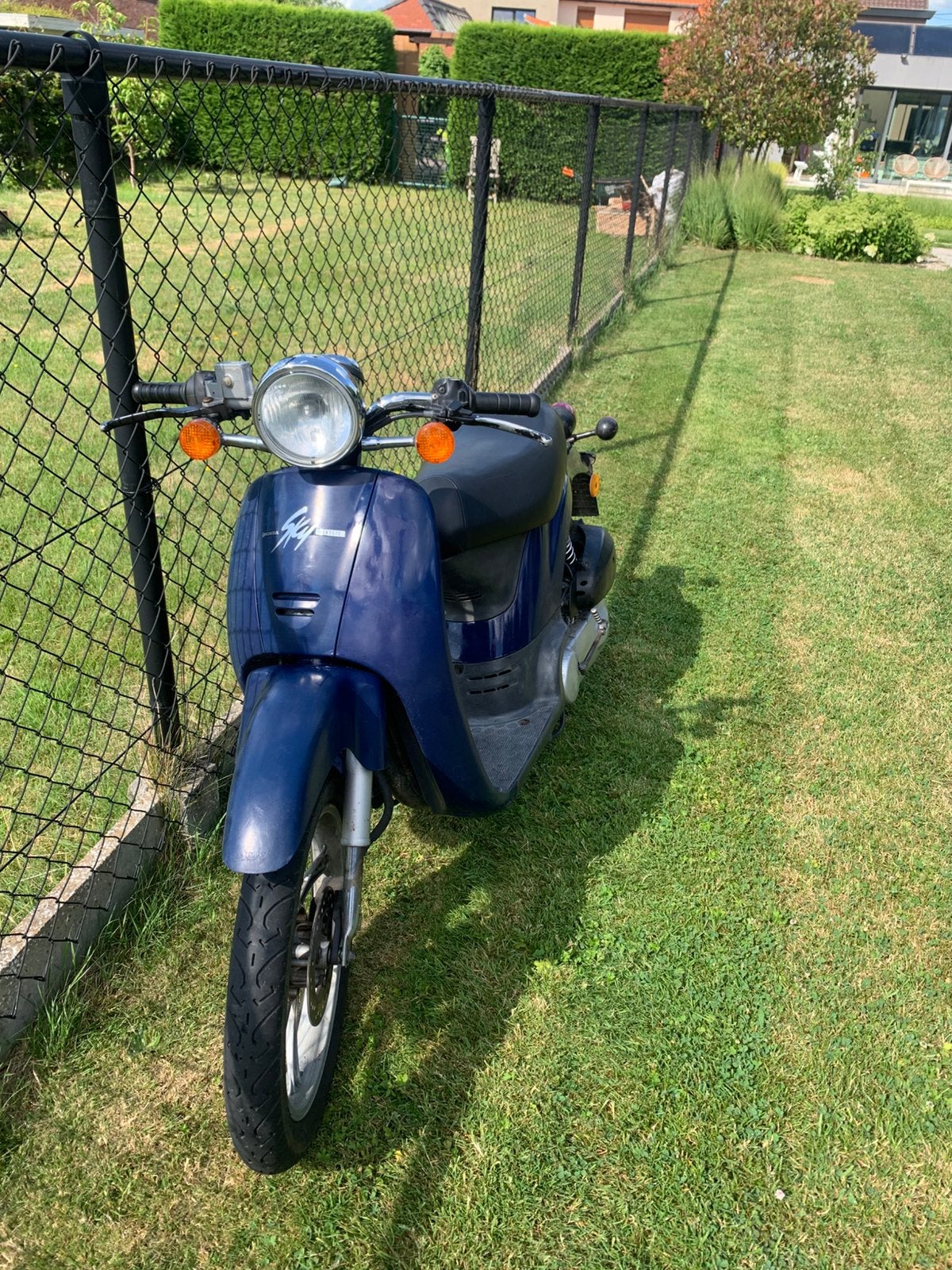 Honda sky, Autres modèles, Classe B (45 km/h), Enlèvement, Utilisé