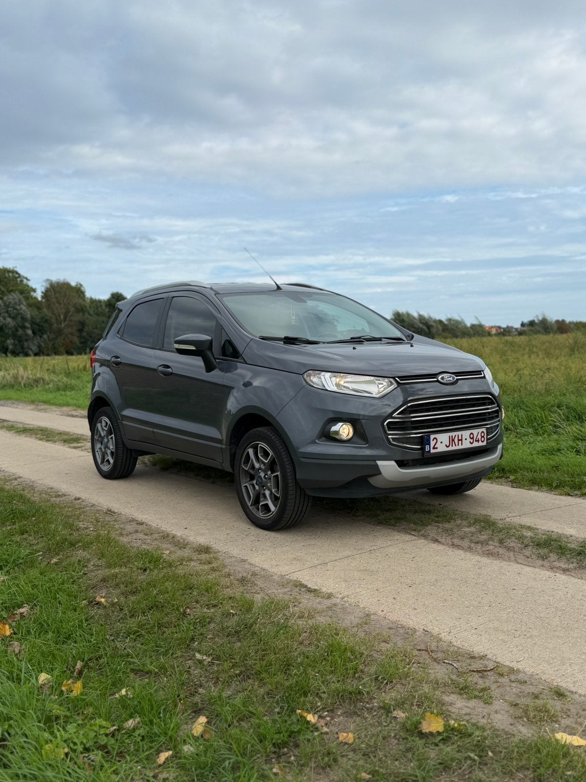 Ford EcoSport 1.0 EcoBoost TITANIUM 38 ooo km euro 6!, Auto's, Voorwielaandrijving, Dealer onderhouden, Ecosport, Leder en Stof