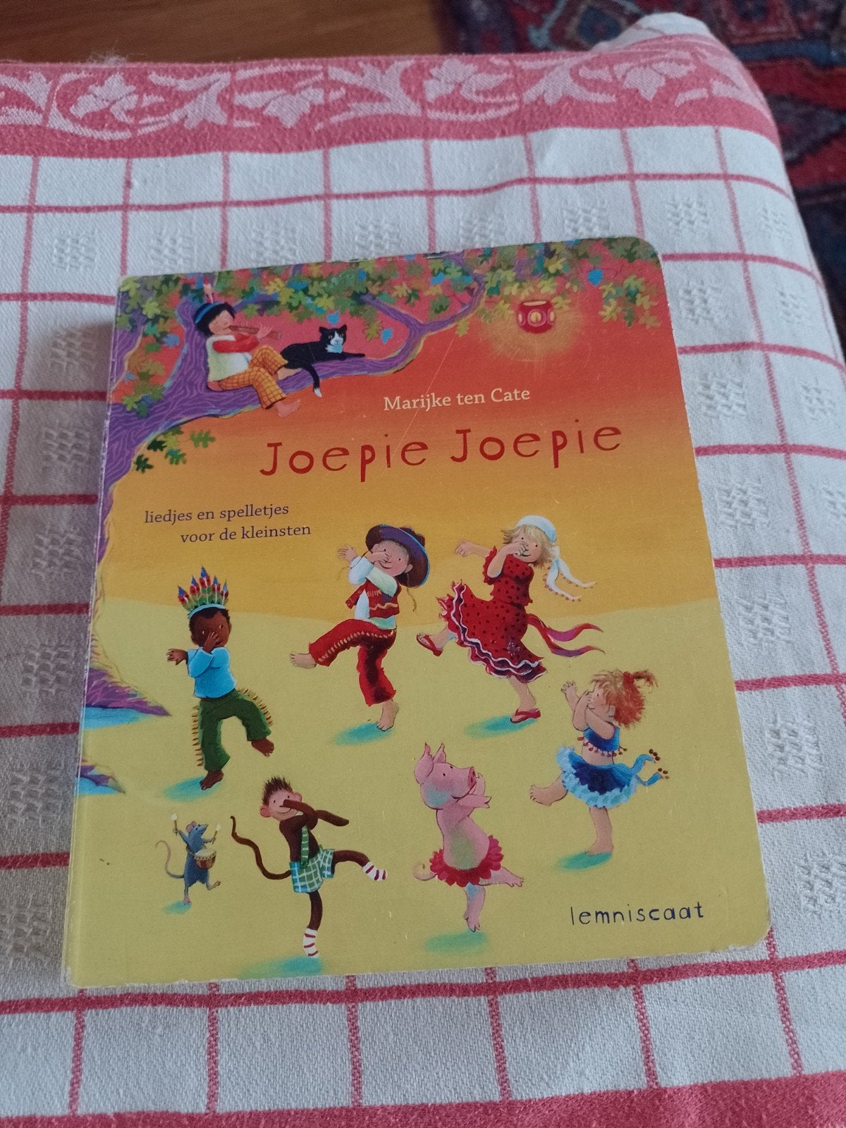 Marijke ten Cate - Joepie Joepie kartonboekje, Boeken, Ophalen of Verzenden, Gelezen, Marijke ten Cate