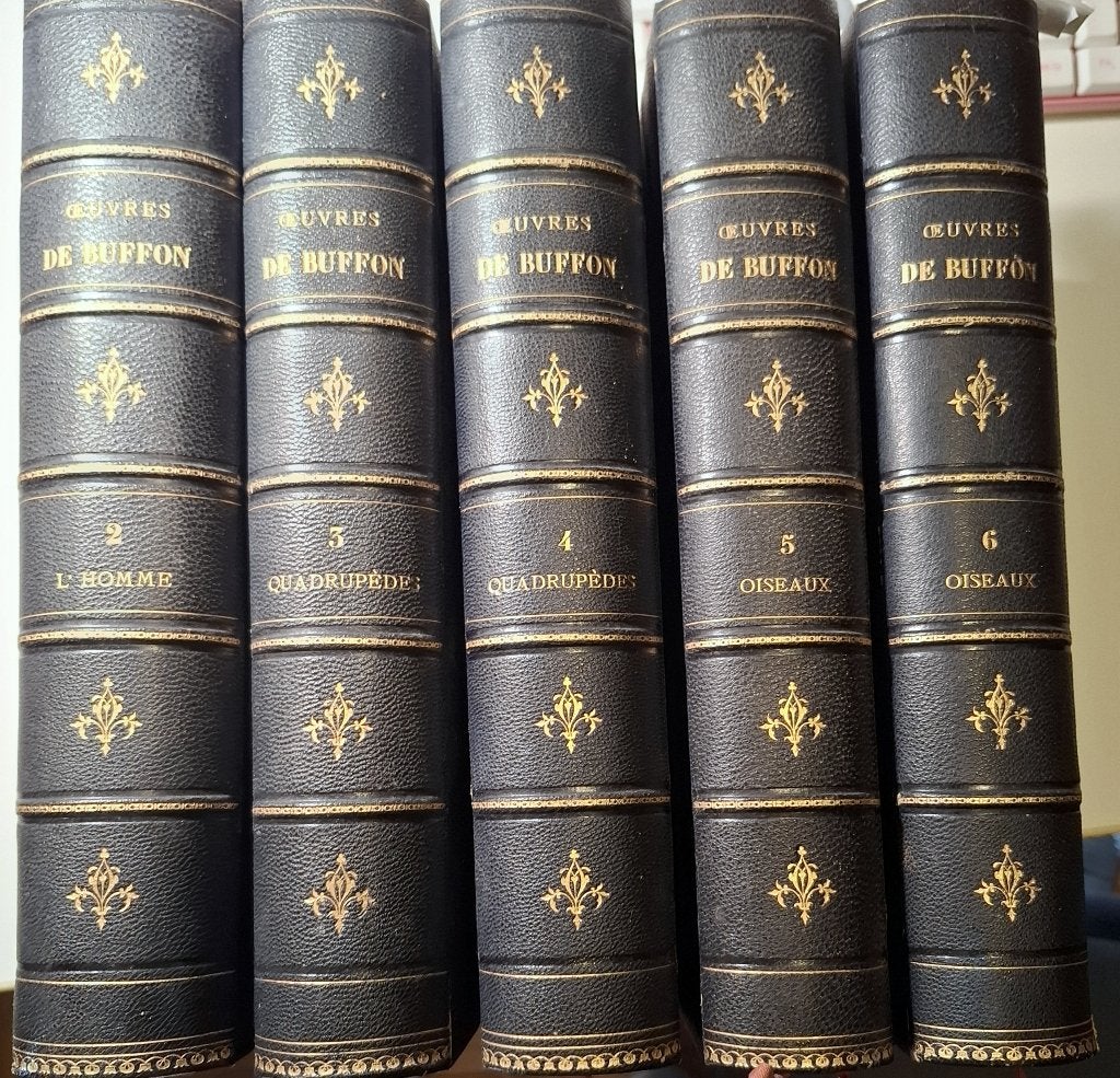 Buffon  L' Homme - les quadrucèpes - Les oiseaux  5 volumes, Antiek en Kunst, Verzenden