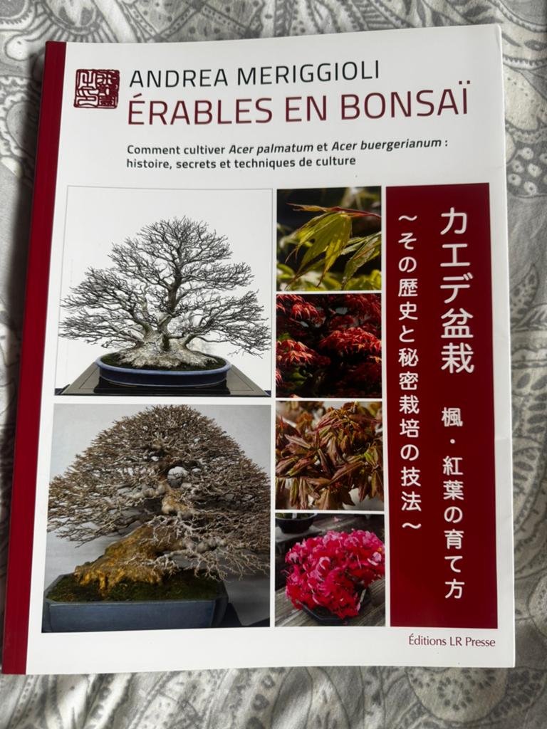 Livre bonsaï, Enlèvement, Comme neuf