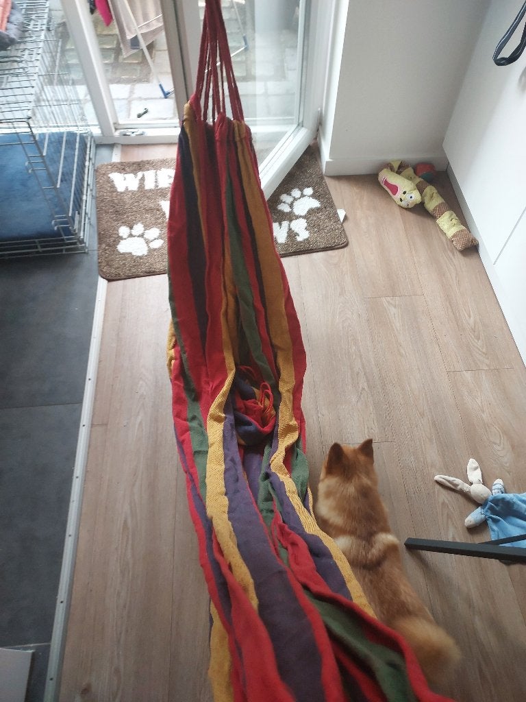Hamac, Jardin & Terrasse, Hamacs, Enlèvement, Comme neuf, Une personne, Intérieur