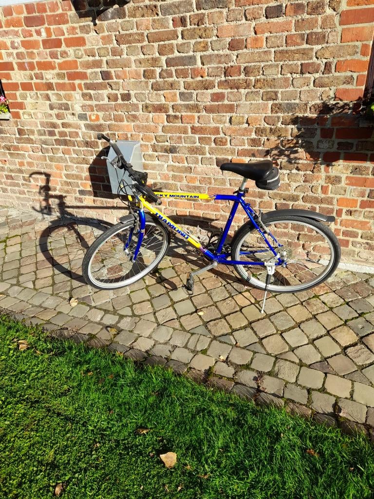 Vélo homme Diamond bleu, Enlèvement