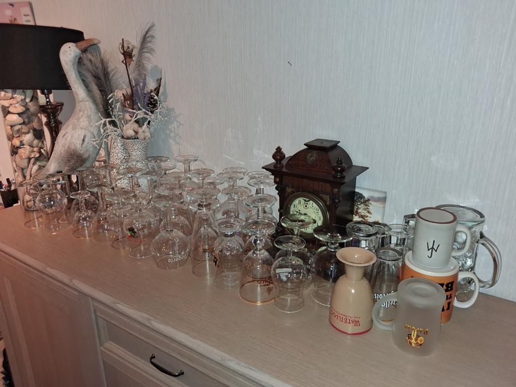 Bierglazen, Tickets & Billets, Loisirs | Jardins zoologiques