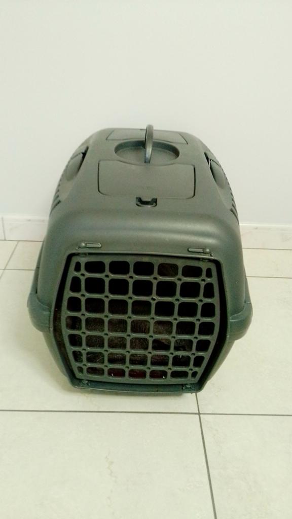 Allerlei Hondentoebehoren., Dieren en Toebehoren, Honden-accessoires, Ophalen