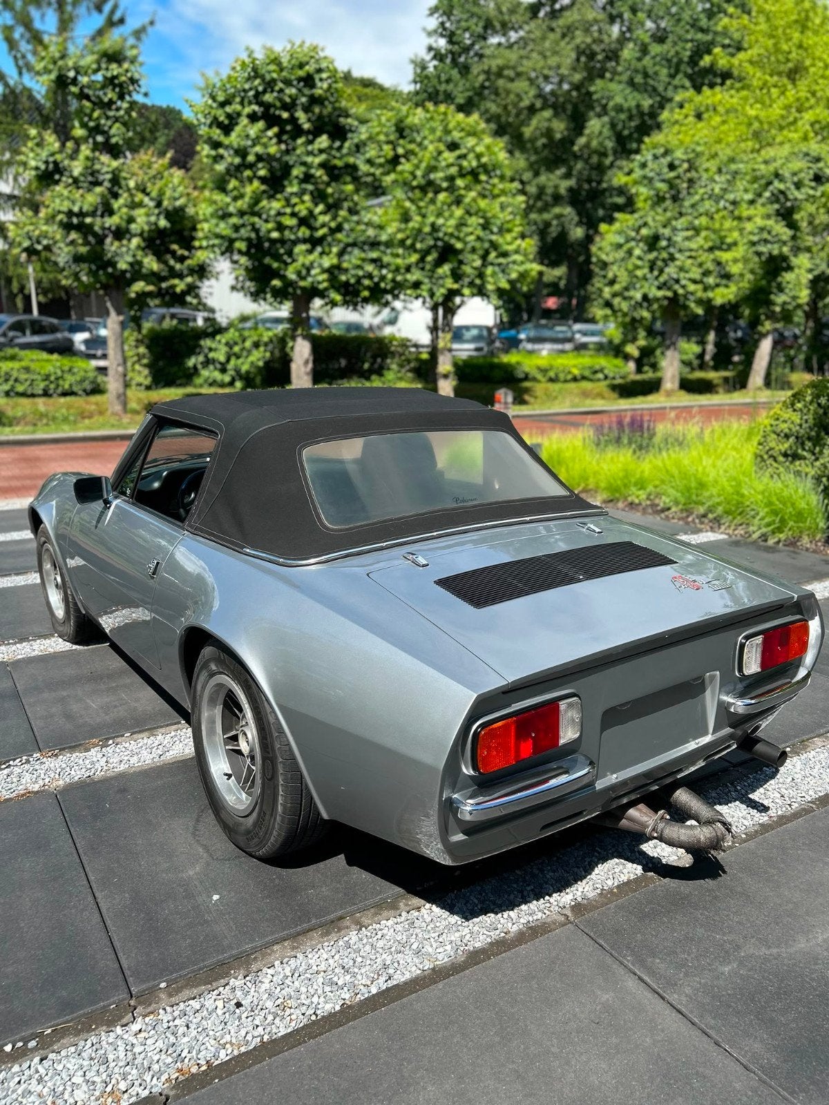 Puma cabrio, foto 10