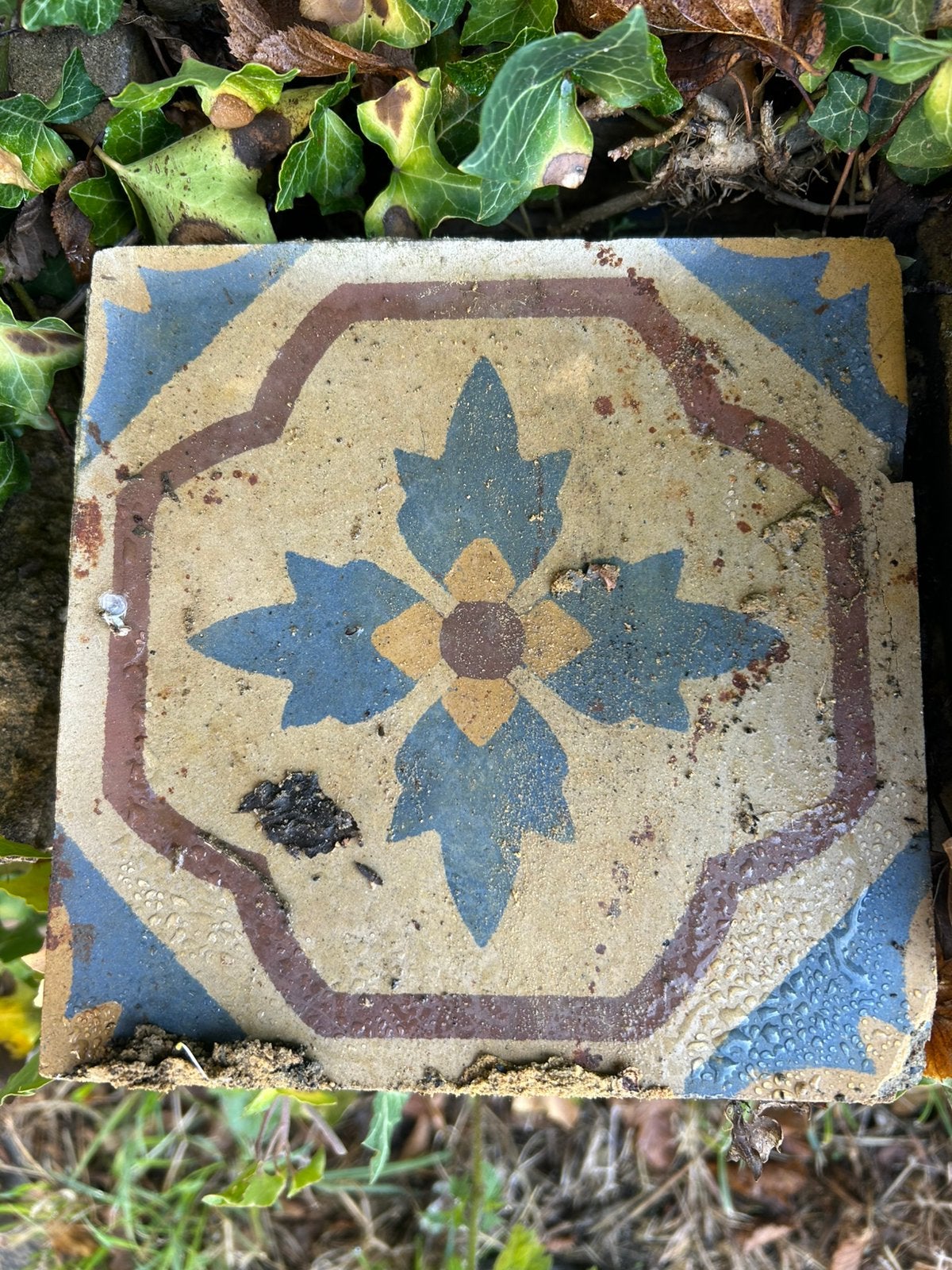 Anciens carreaux de ciment, Enlèvement